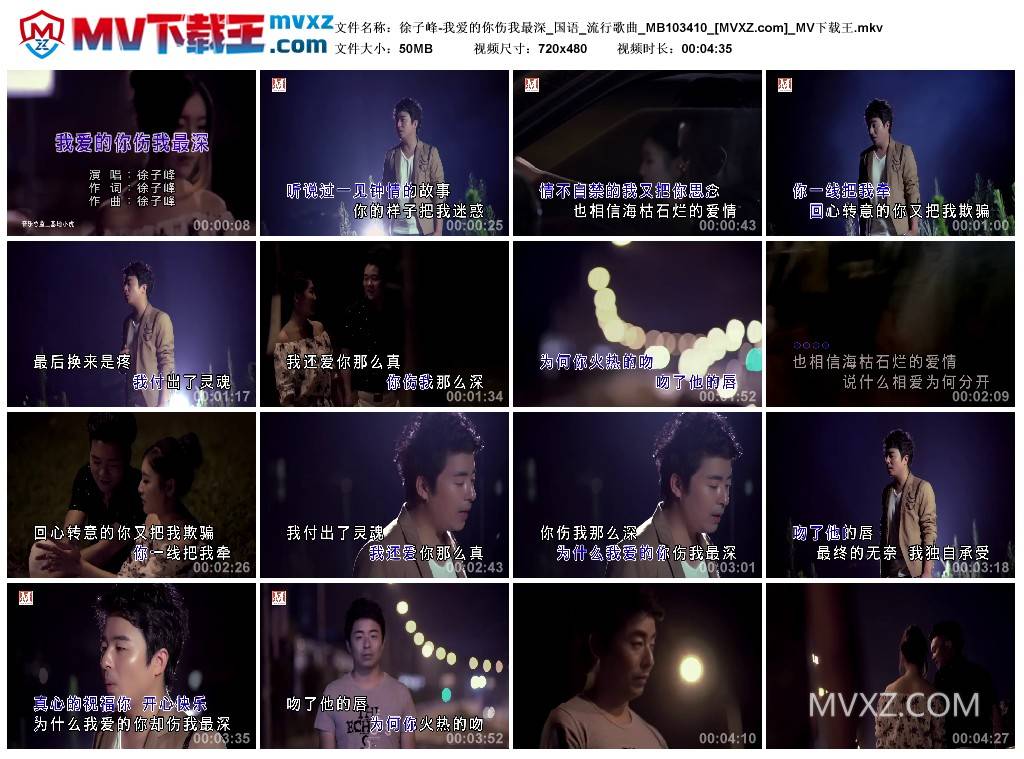 徐子峰-我爱的你伤我最深_国语_流行歌曲_MB103410